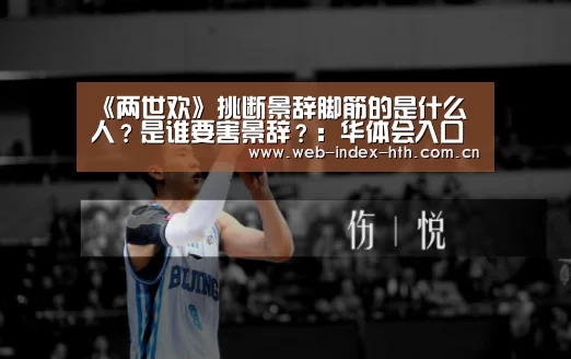 华体会登录